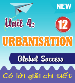 UNIT 4. URBANISATION - G12 (2027)